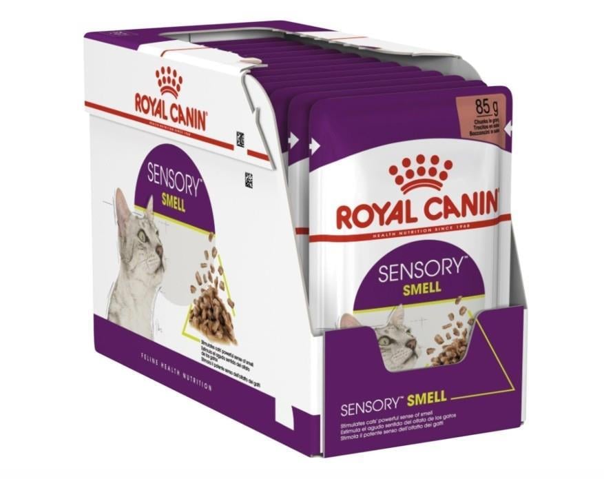 Royal Canin Sensory Smell Gravy Kedi Konservesi 12x85 gr
