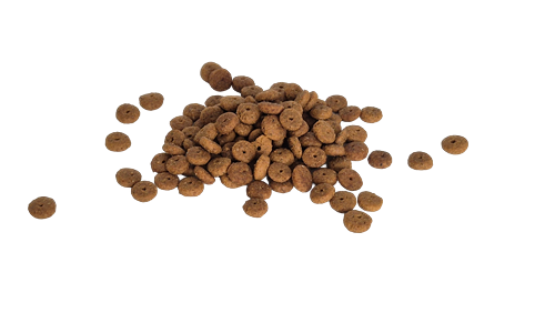 Bestpet Yetişkin Kısırlaştırılmış Kediler İçin Somonlu Kuru Mama 1 kg