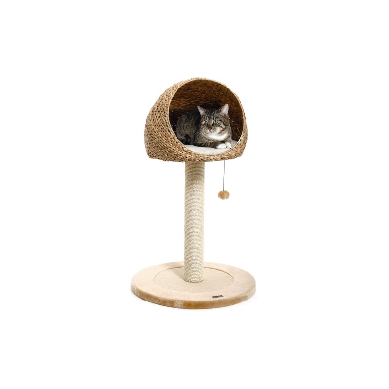 Karlıe Kedi Tırmalama Muz Yaprağı Iı 56x93cm