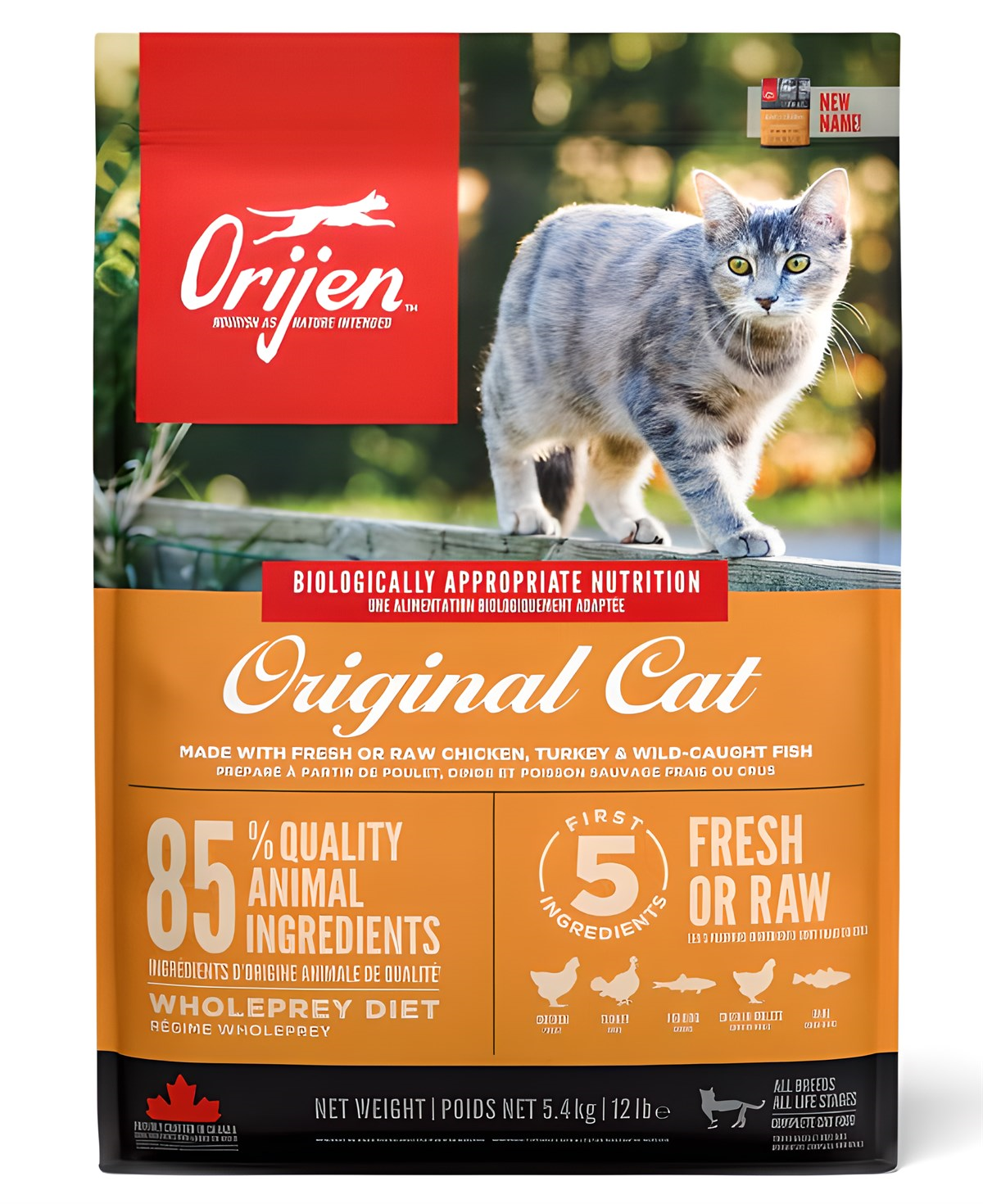 Orijen Cat Kitten Yavru Kedi Maması 5,4 Kg