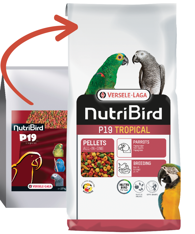 Versele Laga Nutrıbırd P19 Tropıcal Papağan Pelet Yem 10kg