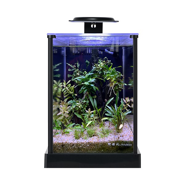 Anubias A168 Nano Akvaryum Set 18,7x23,7x25,8 cm