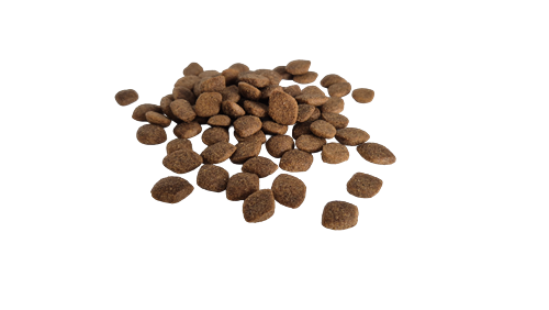 Bestpet Yetişkin Köpekler İçin, Balık Etli Ve Pirinçli Kuru Mama 15 kg