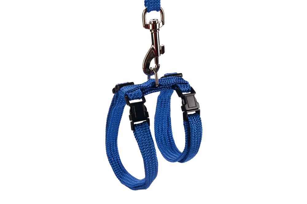 Beeztees Kedi Göğüs Tasması ve Gezdirme Kayışı, 130cm, Mavi