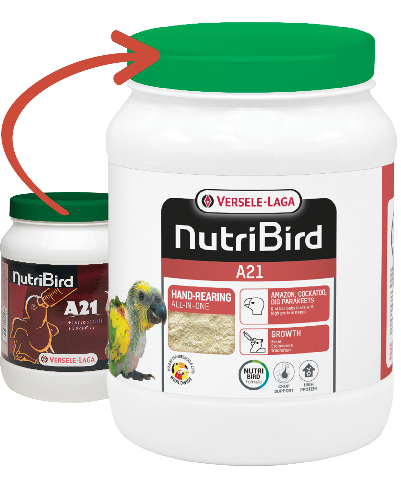 Versele Laga Nutrıbırd A21 Elle Yetiştirme Maması 800g