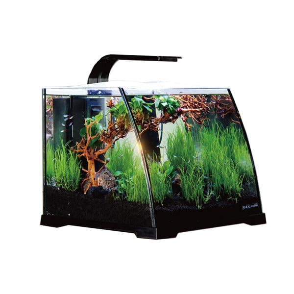 Anubias Ruby 30 Nano Akvaryum Siyah 30 x 29,8 x 25,7 Cm