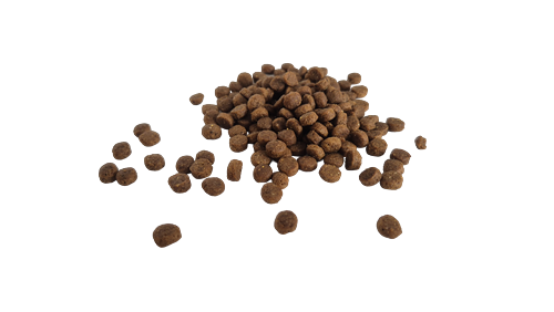 Prochoice Yavru Kediler İçin, Hipoalerjenik, Tavuk Etli Ve Pirinçli Kuru Mama 2 kg