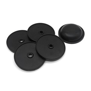 Agrima 200 LPM Pompa Membran Kit