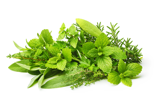 Blend Of Herbs