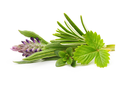 Blend of Aroma
