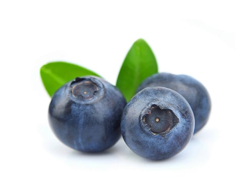 Blueberry