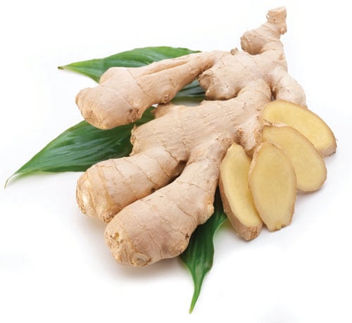 Ginger