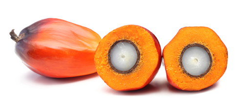 Palm Oil