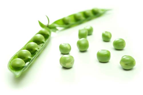 Pea