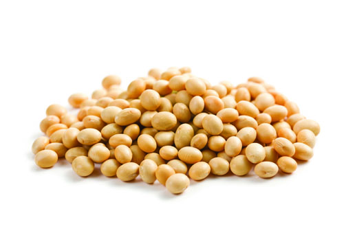 Soy Bean