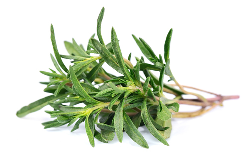 Thyme