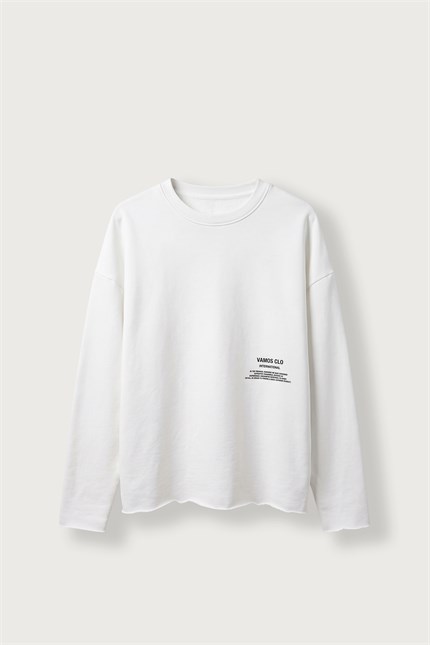 Erkek Boxy Fit Bisiklet Yaka Yıkamalı Baskılı Sweatshirt Ekru