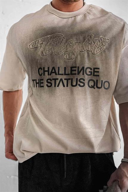 Erkek Oversize Baskılı Yıkamalı T-Shirt Taş Rengi