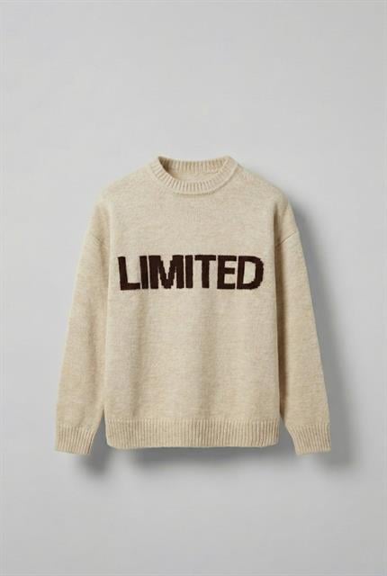 Erkek Oversize Limited Kabartma Baskılı Triko Kazak Taş Rengi