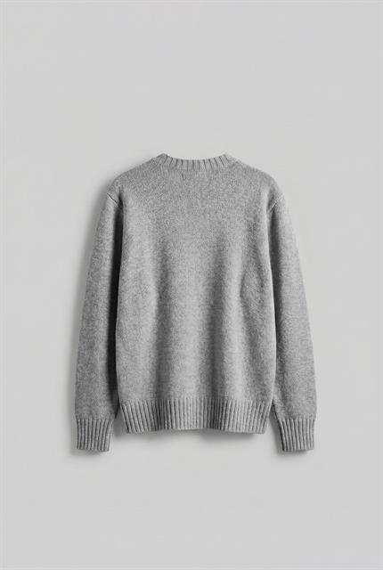 Erkek Regular Fit Bisiklet Yaka Kazak Gri