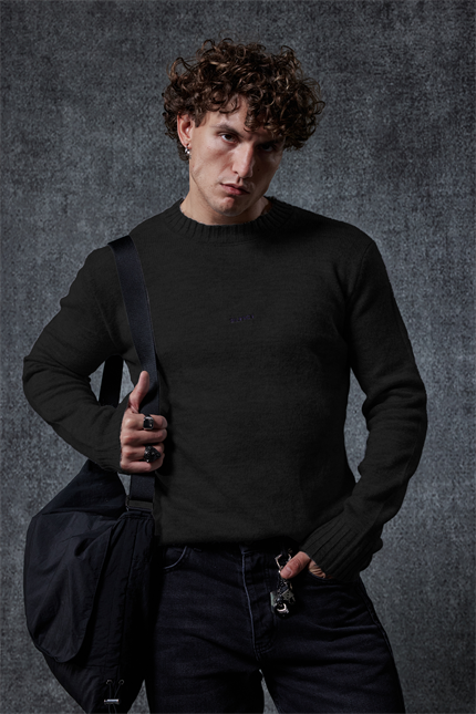 Erkek Regular Fit Bisiklet Yaka Kazak Siyah