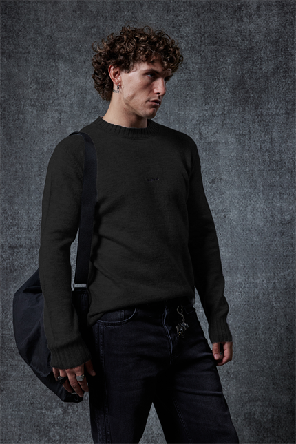 Erkek Regular Fit Bisiklet Yaka Kazak Siyah