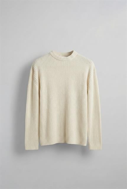 Erkek Regular Fit Kazak Bej