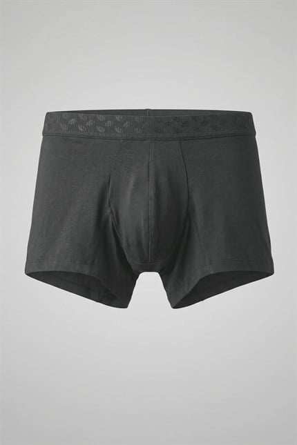 Erkek Torbalı Yumuşak Dokulu Modal Boxer Füme