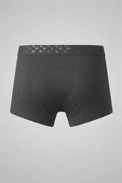 Erkek Torbalı Yumuşak Dokulu Modal Boxer Füme