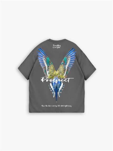 Erkek Oversize Everything İs An Option Nakışlı T-Shirt Gri