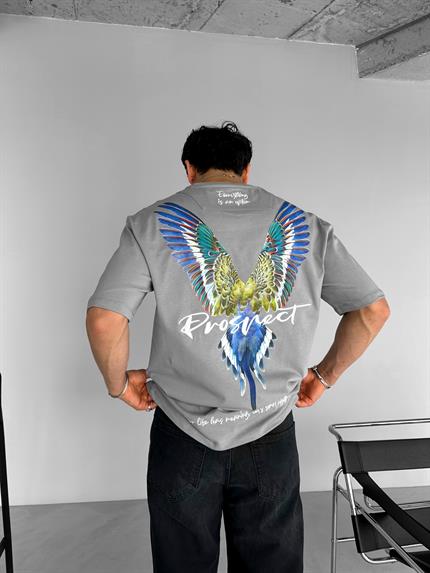 Erkek Oversize Everything İs An Option Nakışlı T-Shirt Gri