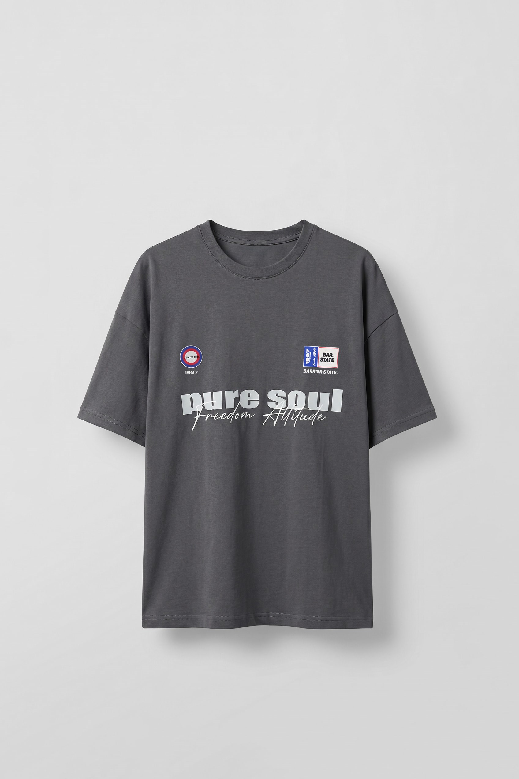Erkek Boxy Fit Grafik Baskılı T-Shirt Füme | ABLUKA