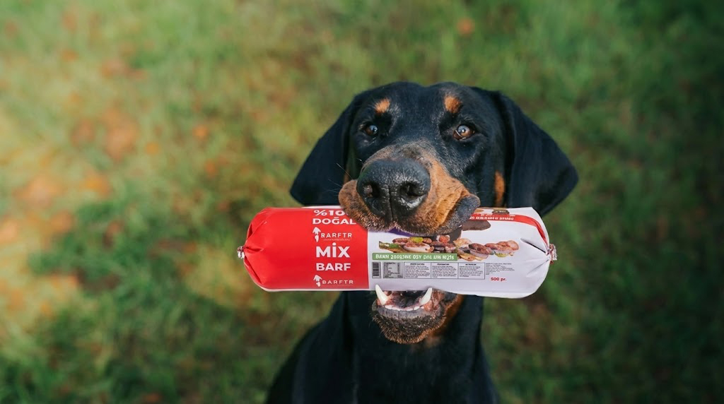Hayvanların Çiğ Et ile Beslenmesi Hastalık Riski Taşır mı?