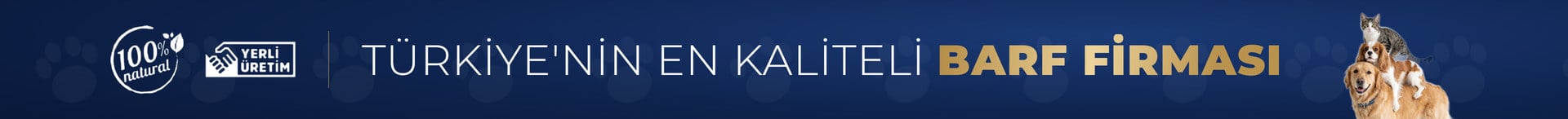 mobil banner