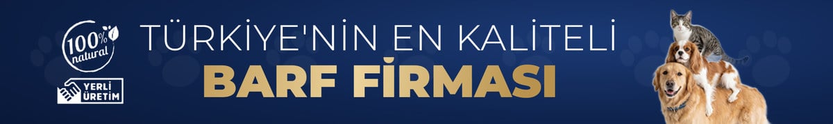 mobil banner