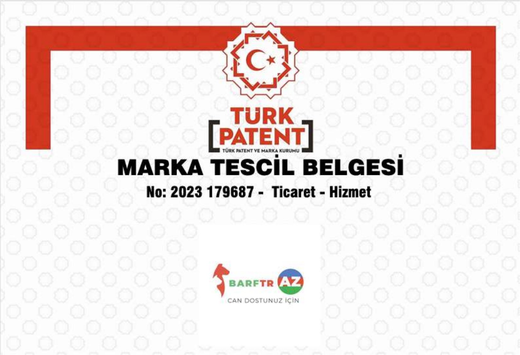 Sertifika 2