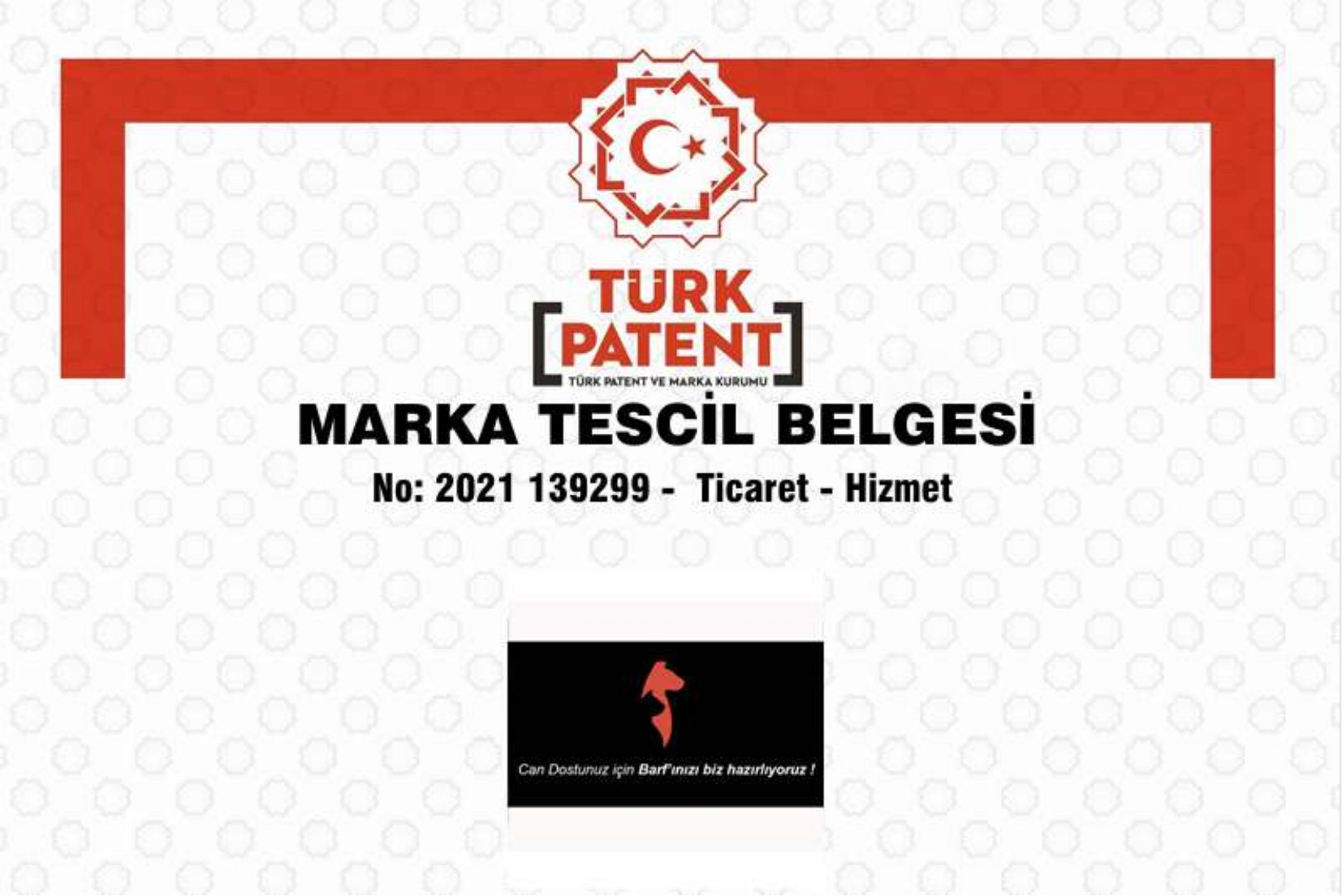 Sertifika 2