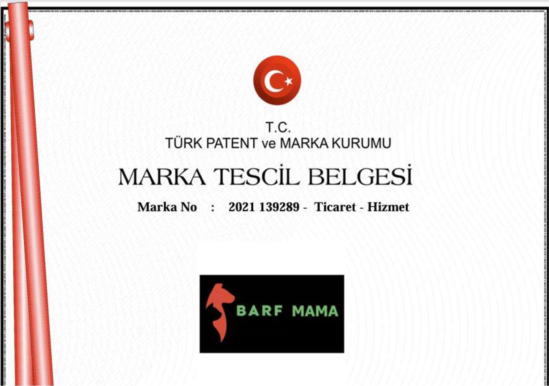 Sertifika 2