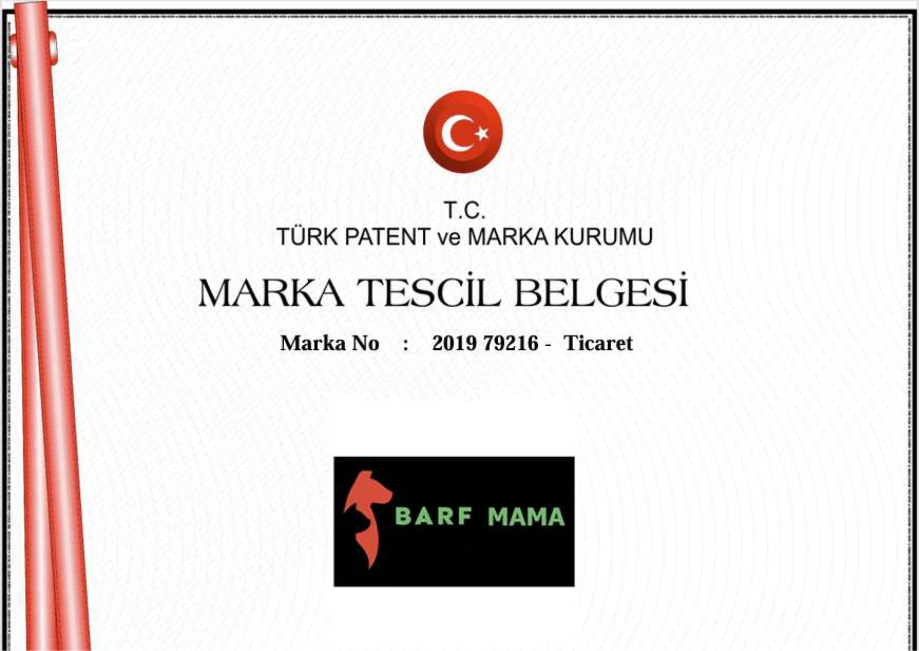 Sertifika 2