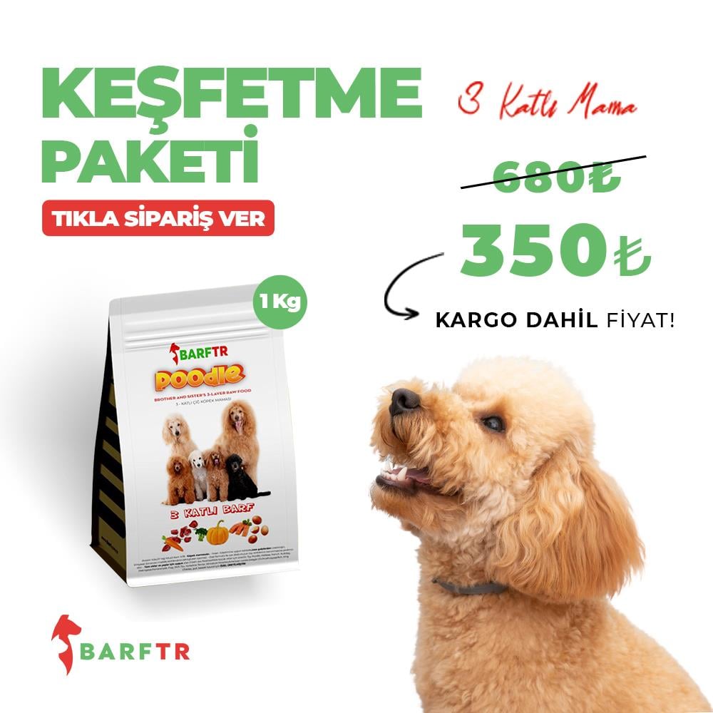 3 KATLI BARF KÖPEK MAMASI 1 KG 1000 GR Deneme paketidir.