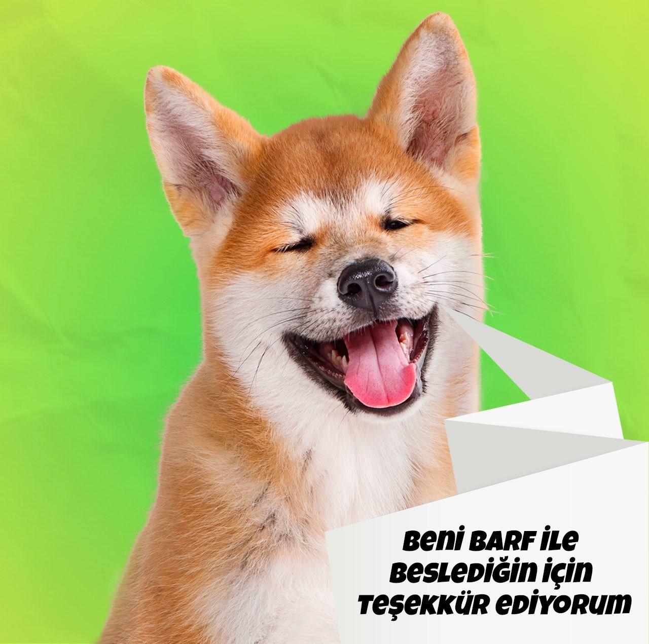 Barf Köpek Maması -Goldbarf - 10 KG - %100 Doğal ve Sağlıklı