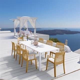 Papatya Maxima Masa - Compact Tabla & Metal Ayak