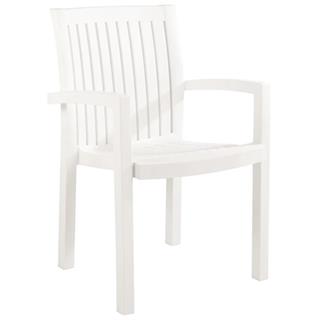 Papatya Neta Koltuk - Plastik Bahçe Balkon Koltuğu