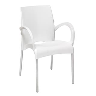 Papatya Vital Koltuk - Alüminyum Ayaklı Ev Ofis Bahçe Koltuğu