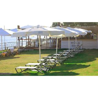 Papatya Wave Pad Alüminyum Çerçeveli Plastik Şezlong