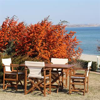 Yönetmen Ahşap Masa Sandalye Takımları - 4 & 6 Kişilik Katlanır Bahçe Balkon Set