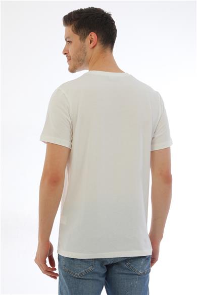 Erkek Basic Regular Fit %100 Pamuk Bisiklet Yaka T-Shirt-Krem