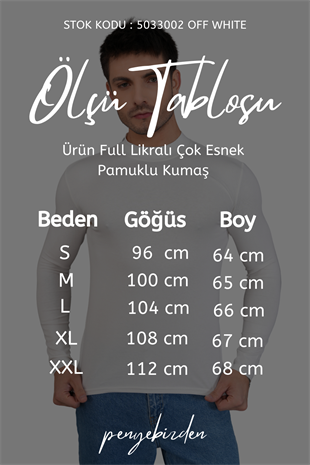Erkek Dik Yaka Slim Fit Pamuk Likra Tişört-Off White