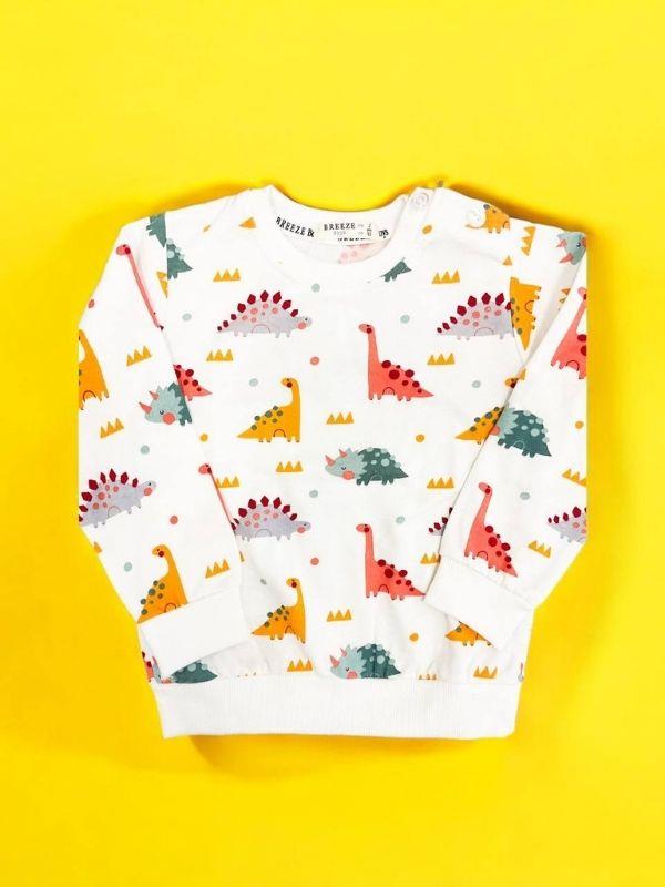 Erkek Bebek Çocuk Pamuklu Kalın Dinazor Baskılı Sweatshirt