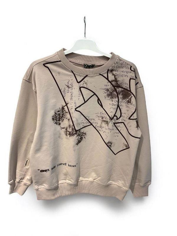 Erkek Çocuk Delights Yazılı Sweat